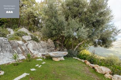 WhatsApp-Image-2025-05-15-at-18-00-39--1-