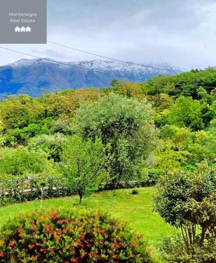 Image No.12-4 Bed House for sale