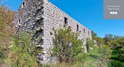 470654081_519492807217896_5360006833286148944_n