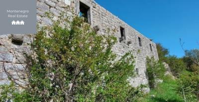 471120289_558150606999771_8548196061998236804_n