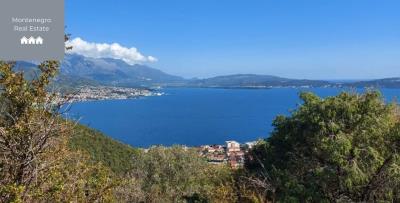 471135078_1094438051989996_2171228392751041684_n