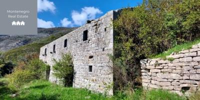 471137036_564453483023137_5047153443026705213_n