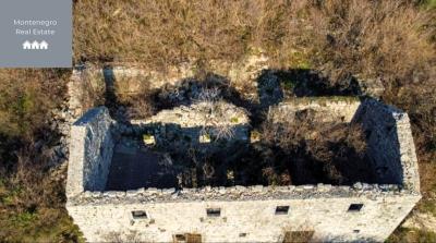 WhatsApp-Image-2025-05-14-at-18-48-04--1-