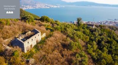 WhatsApp-Image-2025-05-14-at-18-48-05