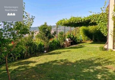 WhatsApp-Image-2025-07-24-at-17-20-41--3-