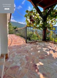 WhatsApp-Image-2025-07-24-at-17-32-46--1-