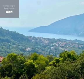 WhatsApp-Image-2025-07-24-at-17-32-46