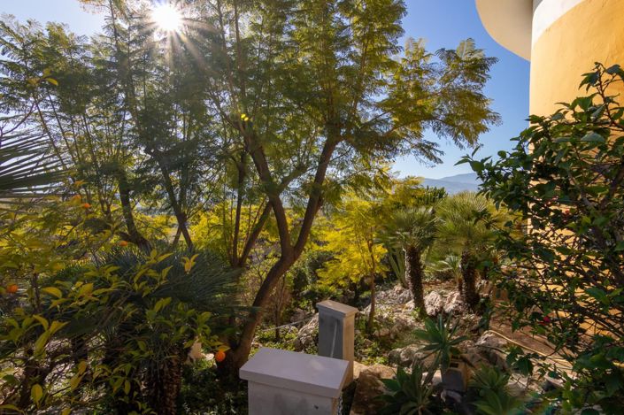 Image No.43-Villa de 4 chambres à vendre à Sanet Y Negrals