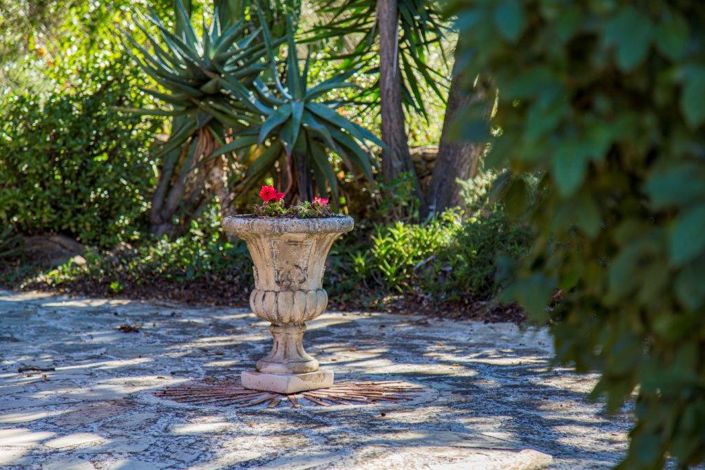 Image No.34-Finca de 4 chambres à vendre à Jesús Pobre