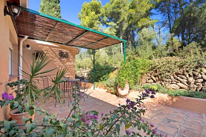 Image No.41-Finca de 4 chambres à vendre à Jesús Pobre