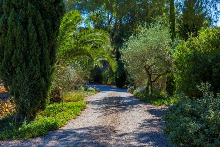 Image No.45-Finca de 4 chambres à vendre à Jesús Pobre