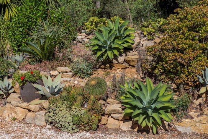 Image No.49-Finca de 4 chambres à vendre à Jesús Pobre
