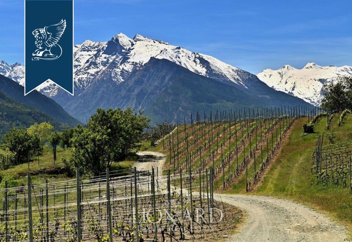 Image No.14-Ferme de 16 chambres à vendre à Val d'Aoste