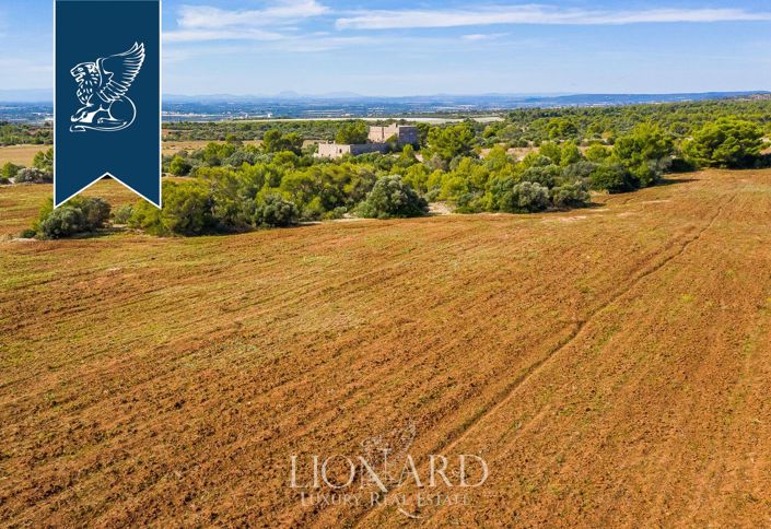 Image No.33-Maison de campagne de 12 chambres à vendre à Massafra