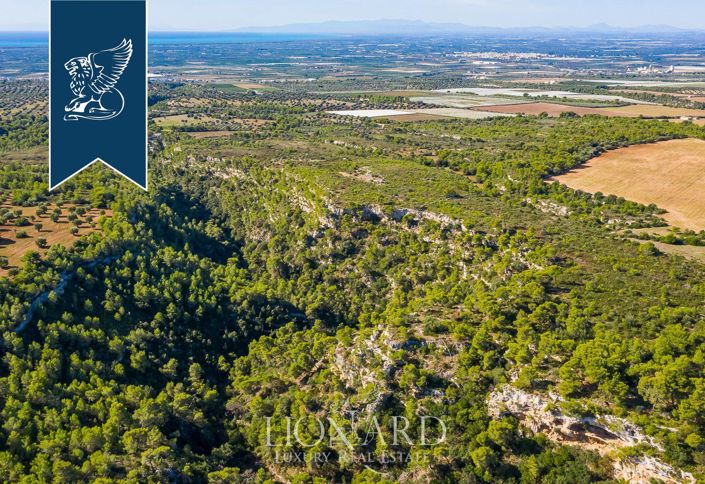 Image No.39-Maison de campagne de 12 chambres à vendre à Massafra