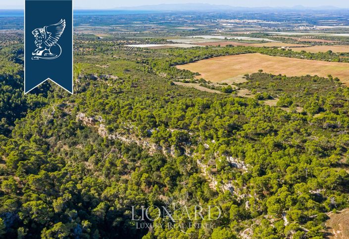 Image No.40-Maison de campagne de 12 chambres à vendre à Massafra