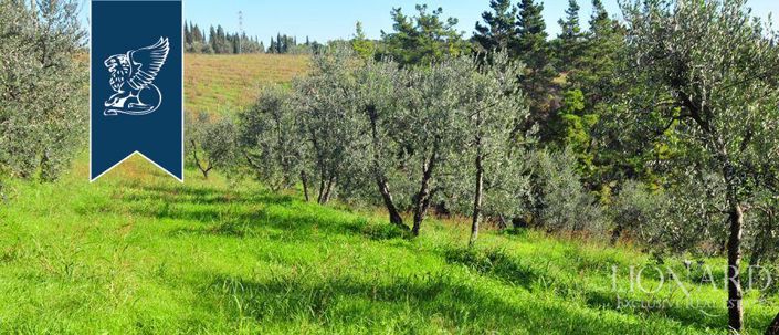 Image No.3-Maison de campagne de 5 chambres à vendre à Lastra a Signa