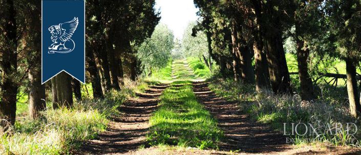 Image No.5-Maison de campagne de 5 chambres à vendre à Lastra a Signa