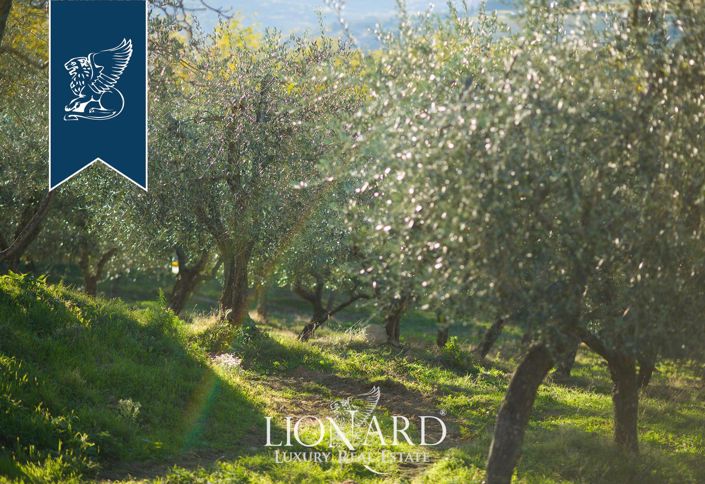 Image No.14-Ferme de 7 chambres à vendre à Pelago