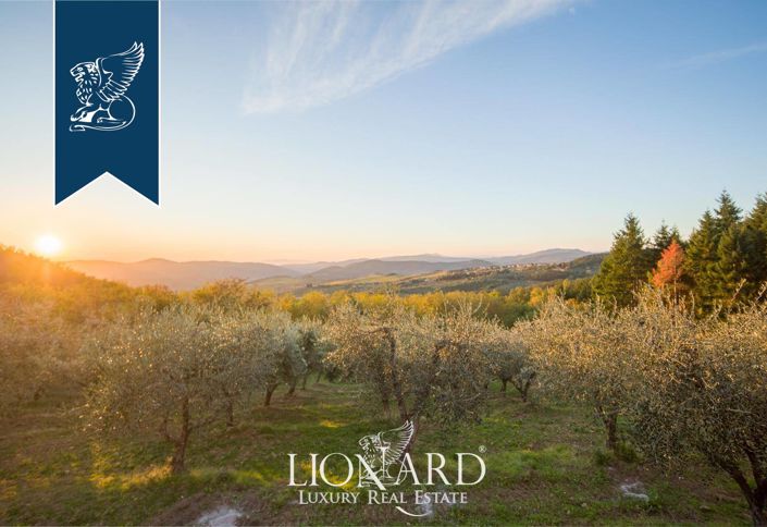 Image No.44-Ferme de 7 chambres à vendre à Pelago