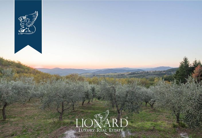 Image No.45-Ferme de 7 chambres à vendre à Pelago