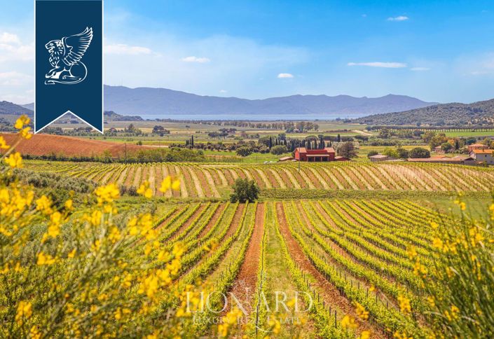 Image No.19-Ferme de 9 chambres à vendre à Magliano in Toscana