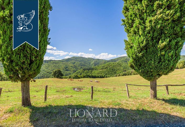 Image No.14-8 Bed Villa for sale