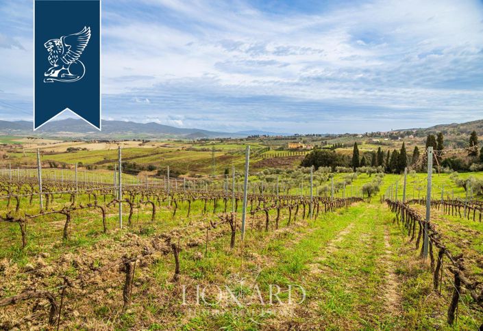 Image No.19-Ferme de 140 chambres à vendre à Rosignano Marittimo