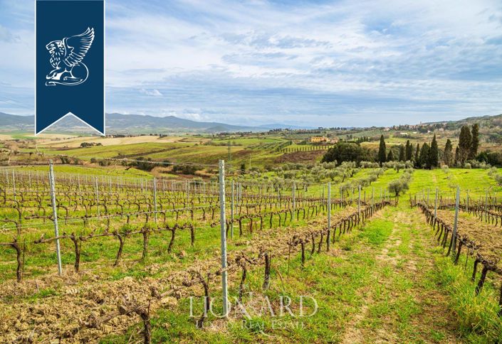 Image No.20-Ferme de 140 chambres à vendre à Rosignano Marittimo