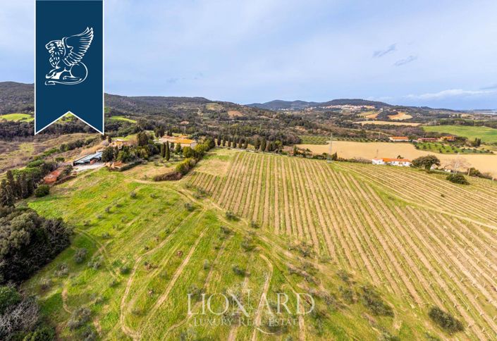 Image No.6-Ferme de 140 chambres à vendre à Rosignano Marittimo