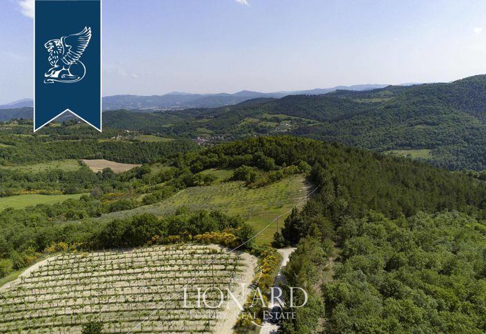 Image No.37-15 Bed Farmhouse for sale