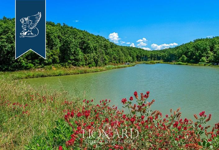 Image No.44-20 Bed Farmhouse for sale