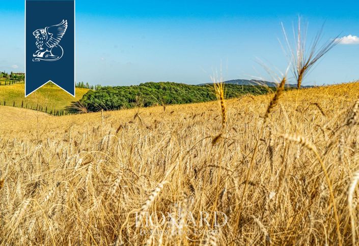 Image No.46-20 Bed Farmhouse for sale