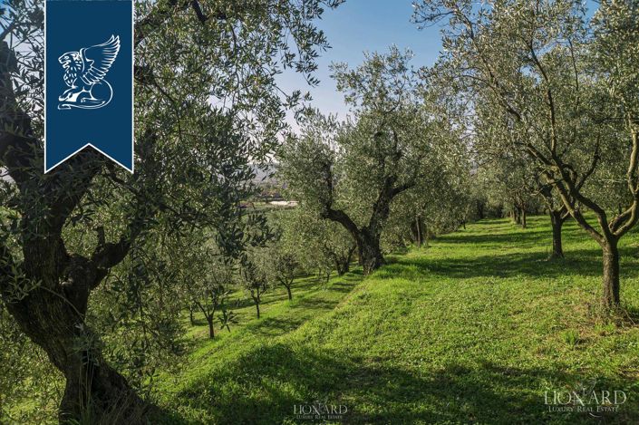 Image No.10-12 Bed Villa for sale