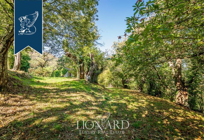 Image No.12-Villa de 9 chambres à vendre à Sassetta