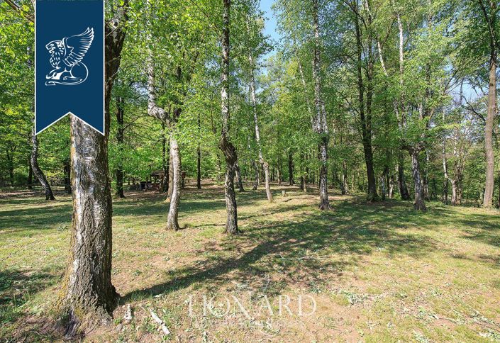 Image No.40-Villa de 7 chambres à vendre à Agrate Conturbia