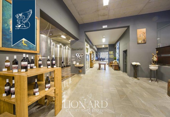 Image No.48-Ferme de 5 chambres à vendre à Nimis