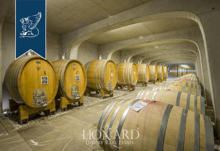 Image No.58-Ferme de 5 chambres à vendre à Nimis