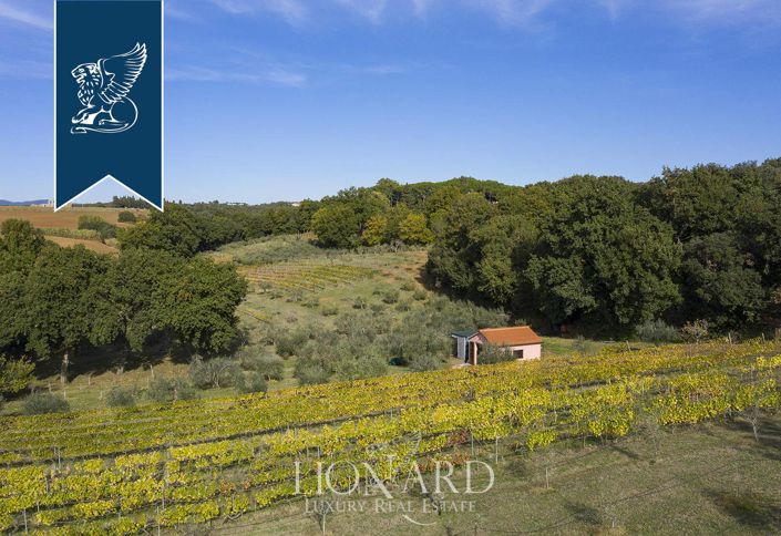 Image No.31-Ferme de 7 chambres à vendre à Bibbona