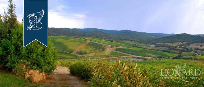 Image No.8-16 Bed Villa for sale