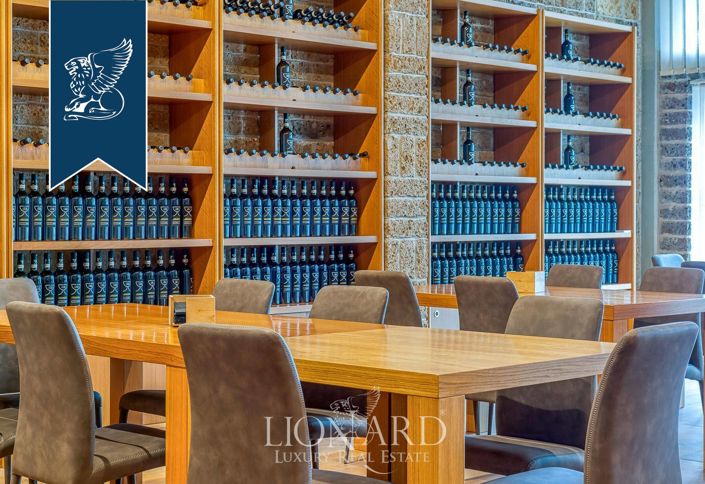 Image No.15-9 Bed Farmhouse for sale