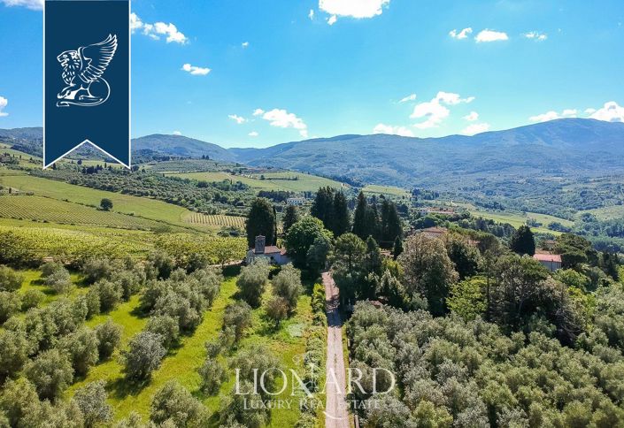 Image No.8-12 Bed Villa for sale