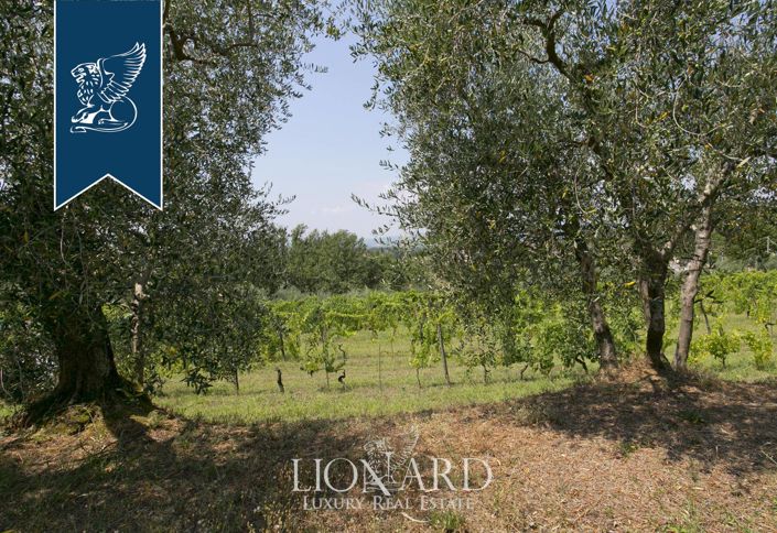 Image No.14-9 Bed Villa for sale