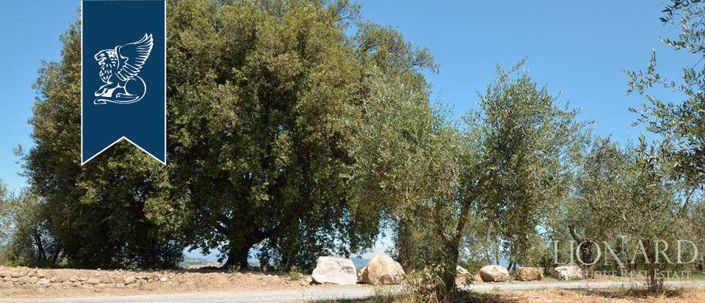 Image No.56-50 Bed Farmhouse for sale