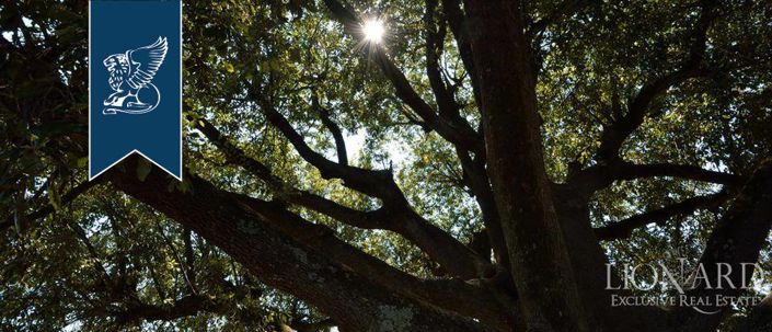 Image No.57-50 Bed Farmhouse for sale