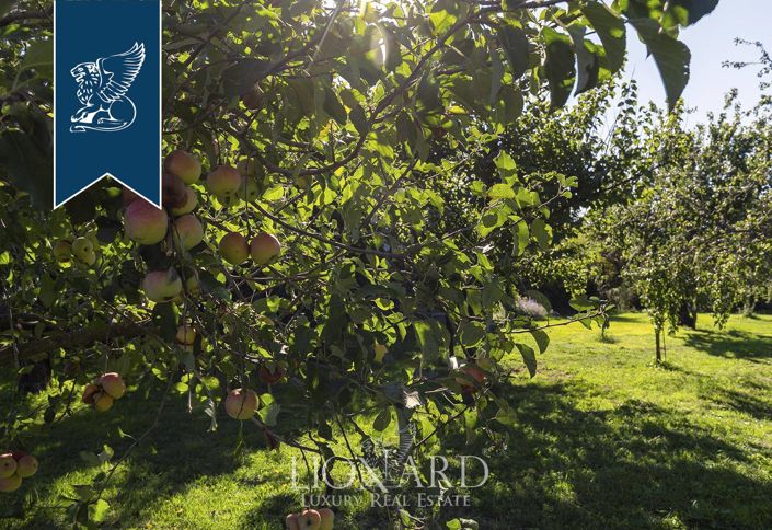 Image No.18-Villa de 12 chambres à vendre à Vignanello