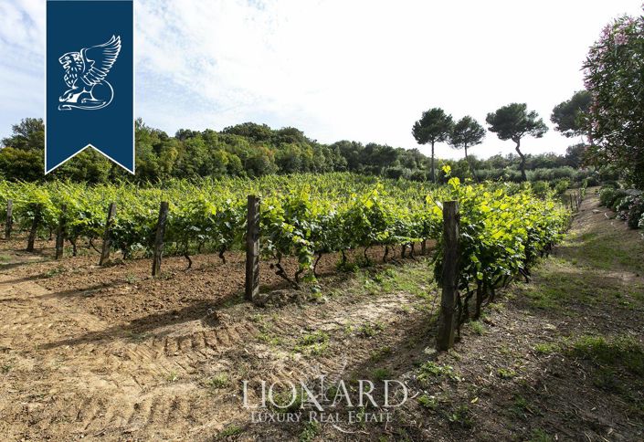 Image No.39-Villa de 4 chambres à vendre à Piombino