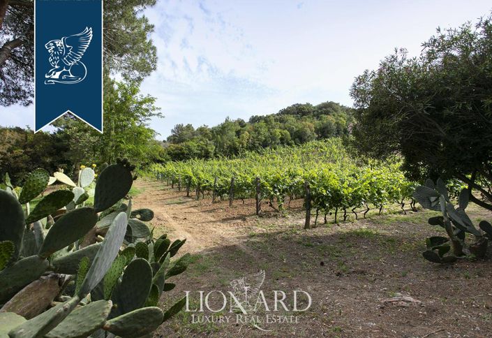 Image No.40-Villa de 4 chambres à vendre à Piombino