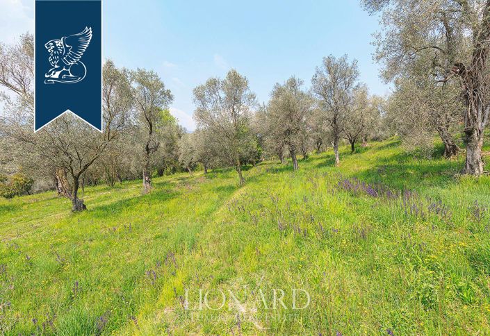 Image No.50-50 Bed Farmhouse for sale