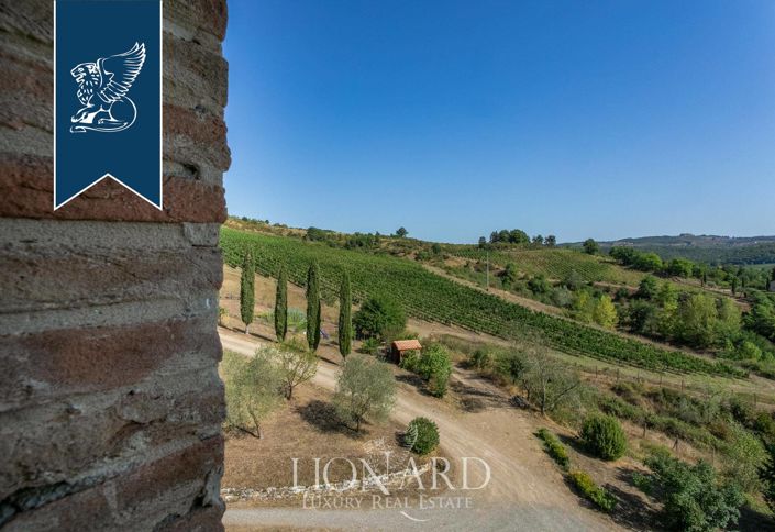 Image No.35-Maison de campagne de 12 chambres à vendre à Castelnuovo Berardenga